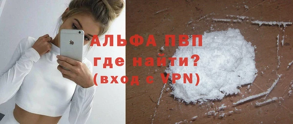 сатива Горнозаводск