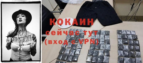 сатива Горнозаводск