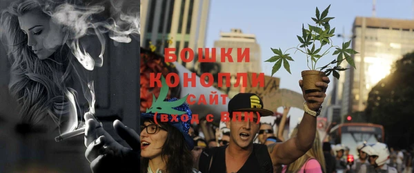 сатива Горнозаводск