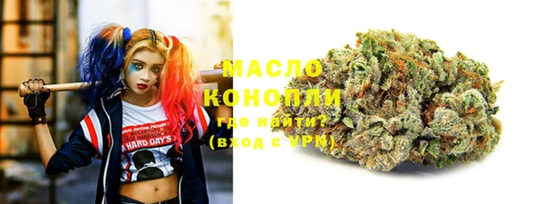 сатива Горнозаводск